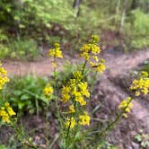 Review photo of Strouds Run State Park Campground by Anna S., July 26, 2022