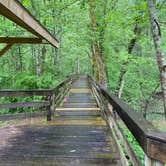 Review photo of Strouds Run State Park Campground by Anna S., July 26, 2022