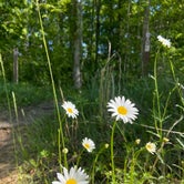 Review photo of Clear Creek Rec Area by Anna S., June 1, 2021