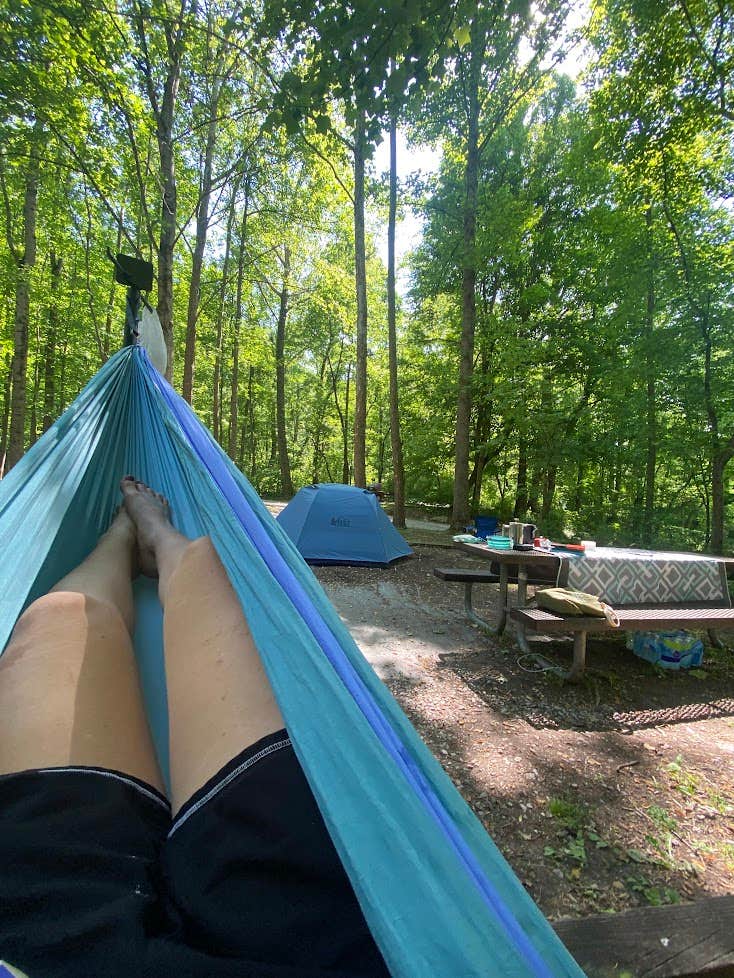 Anna S.'s photo at Grandview Sandbar Campground — New River Gorge National Park and Preserve near Hinton, WV