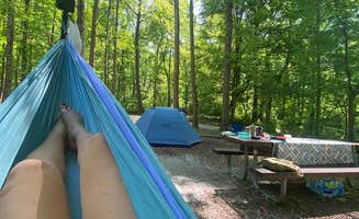 Anna S.'s photo at Grandview Sandbar Campground — New River Gorge National Park and Preserve near Beckley, WV