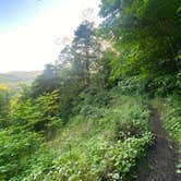 Review photo of Grandview Sandbar Campground — New River Gorge National Park and Preserve by Anna S., June 1, 2021