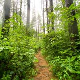 Review photo of Strouds Run State Park Campground by Anna S., July 26, 2022