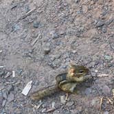 Review photo of Lake Gogebic State Park Campground by Stacia L., July 26, 2022