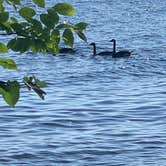 Review photo of Lake Gogebic State Park Campground by Stacia L., July 26, 2022