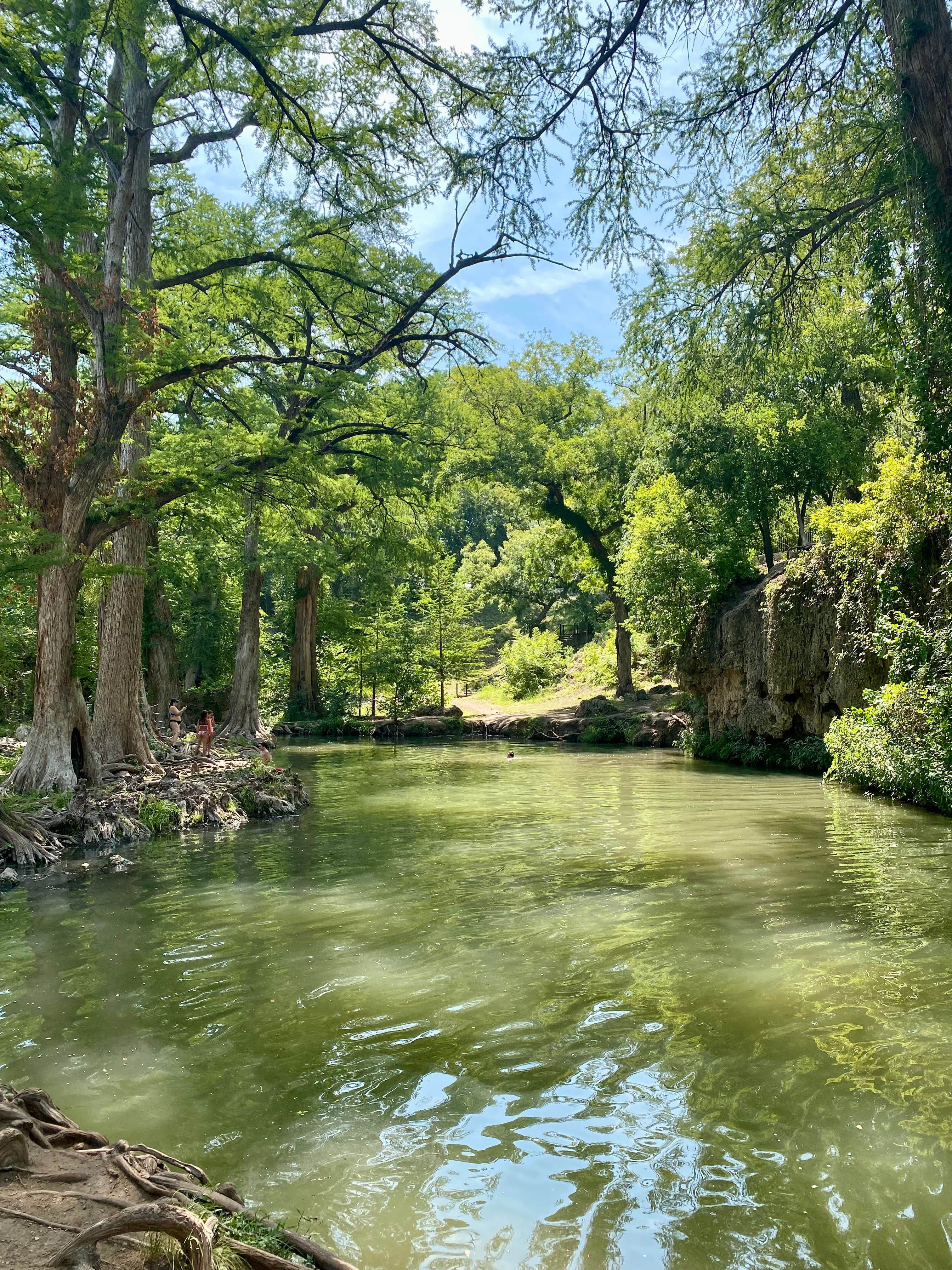 Camper-submitted photo at Krause Springs near Cedar Park, TX