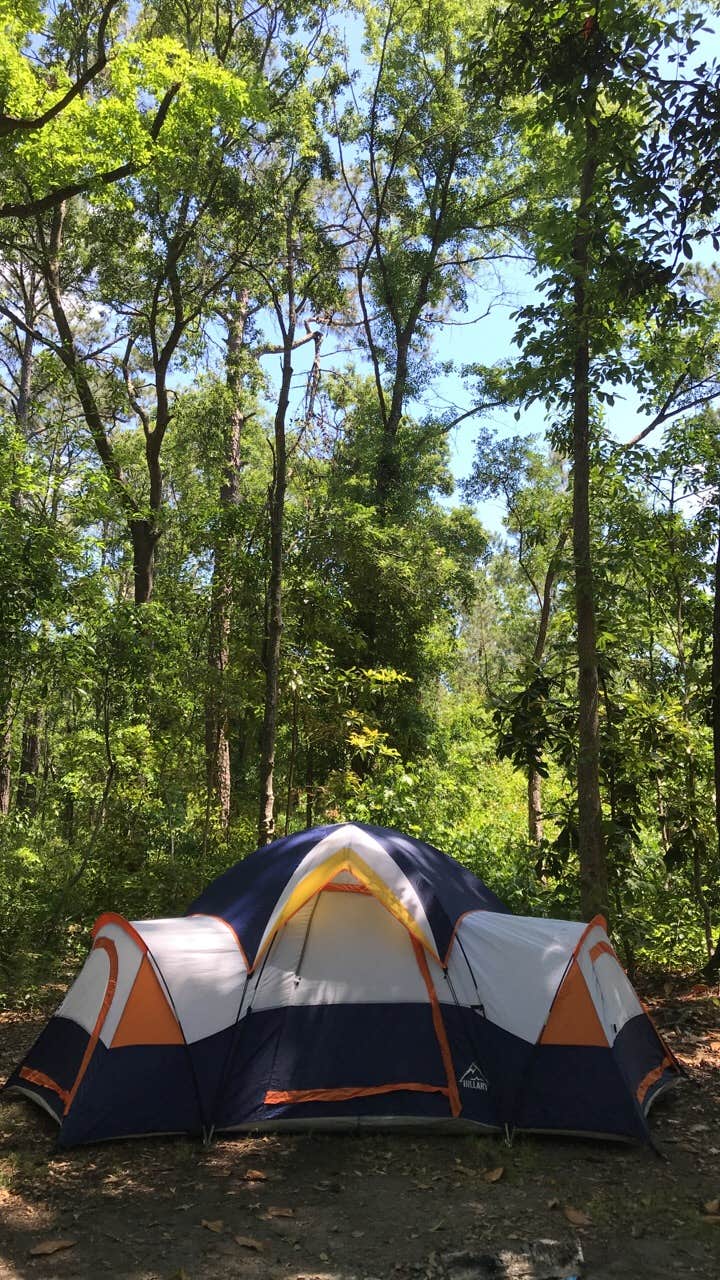 Trish H.'s photo at Tuck in the Wood Campground in South Carolina