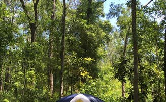 Trish H.'s photo at Tuck in the Wood Campground near Beaufort, SC