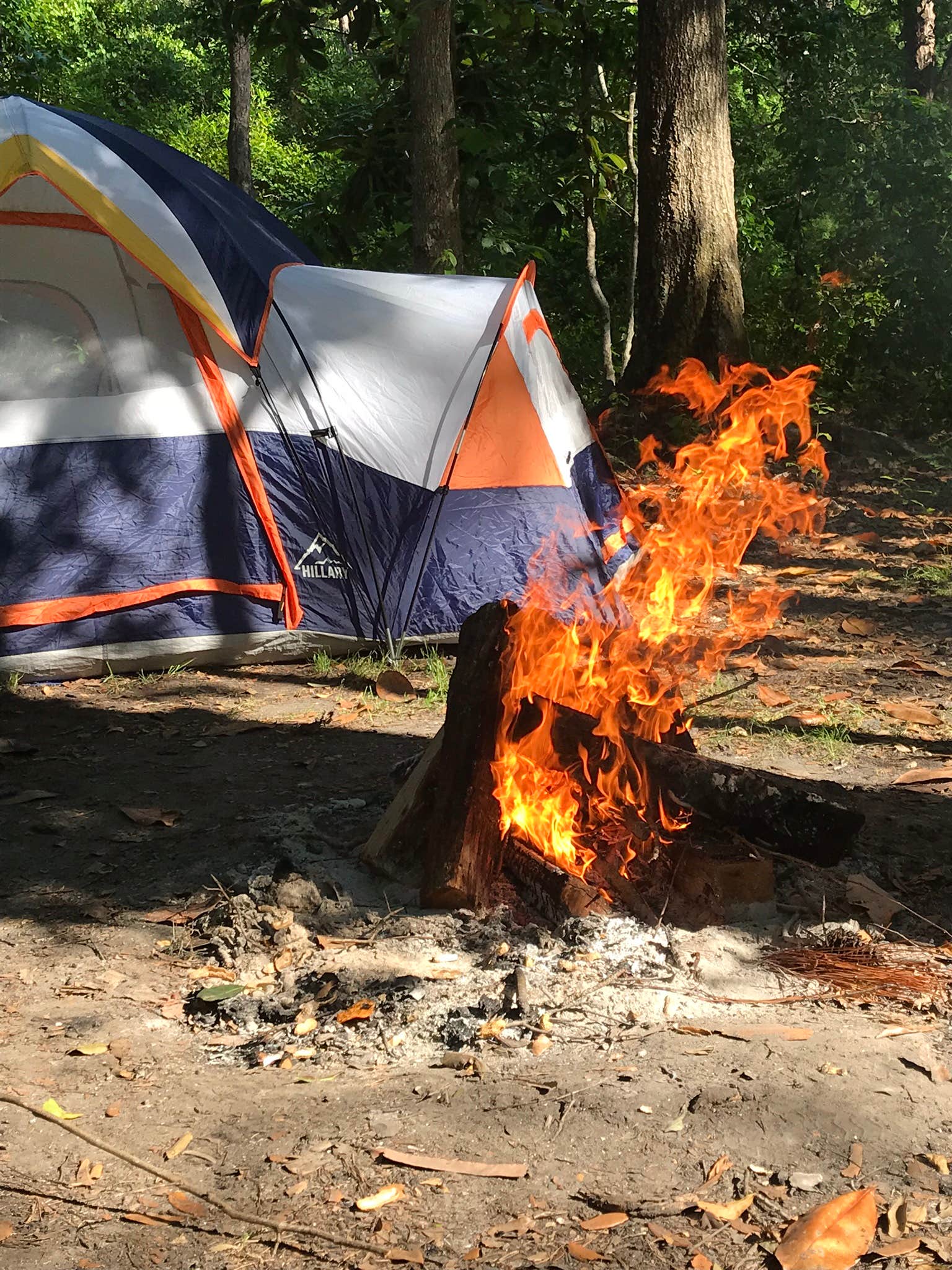 Camper submitted image from Tuck in the Wood Campground - 2