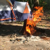 Review photo of Tuck in the Wood Campground by Trish H., July 21, 2018