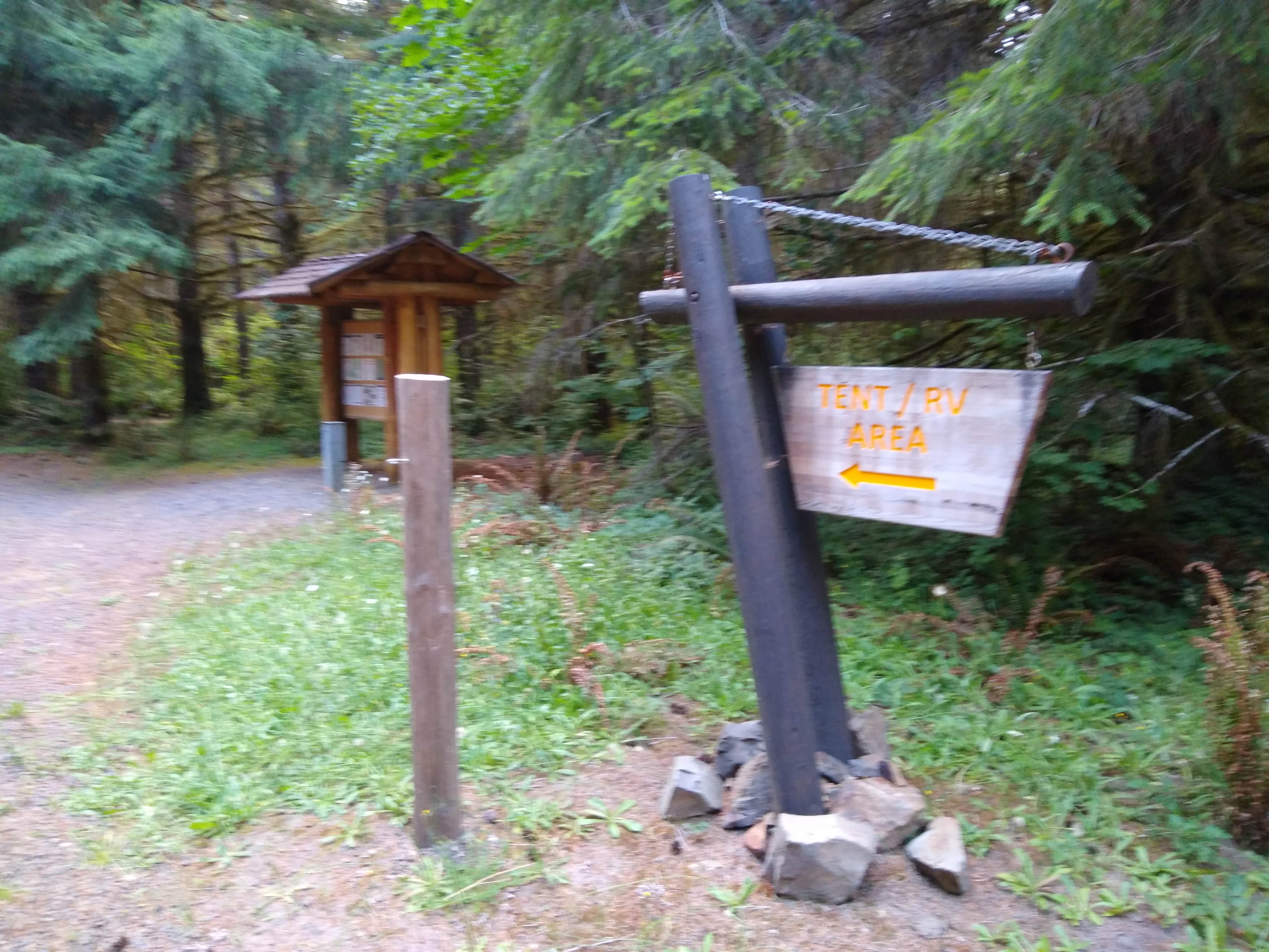 Camper-submitted photo at Clatsop State Forest Northrup Creek Horse Campground near Cathlamet, WA