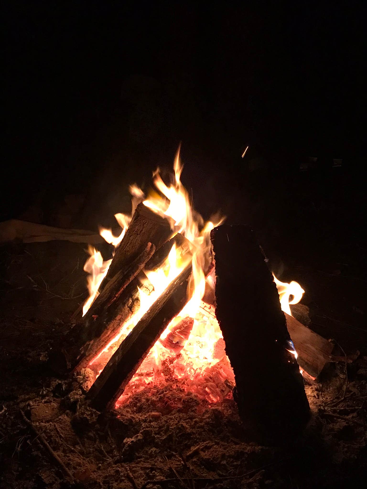 Camper-submitted photo at Tuck in the Wood Campground near Beaufort, SC