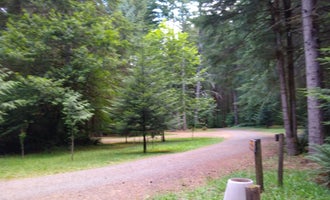 Camping near Saddle Mountain State Park Campground: Clatsop State Forest Northrup Creek Horse Campground, Clatskanie, Oregon