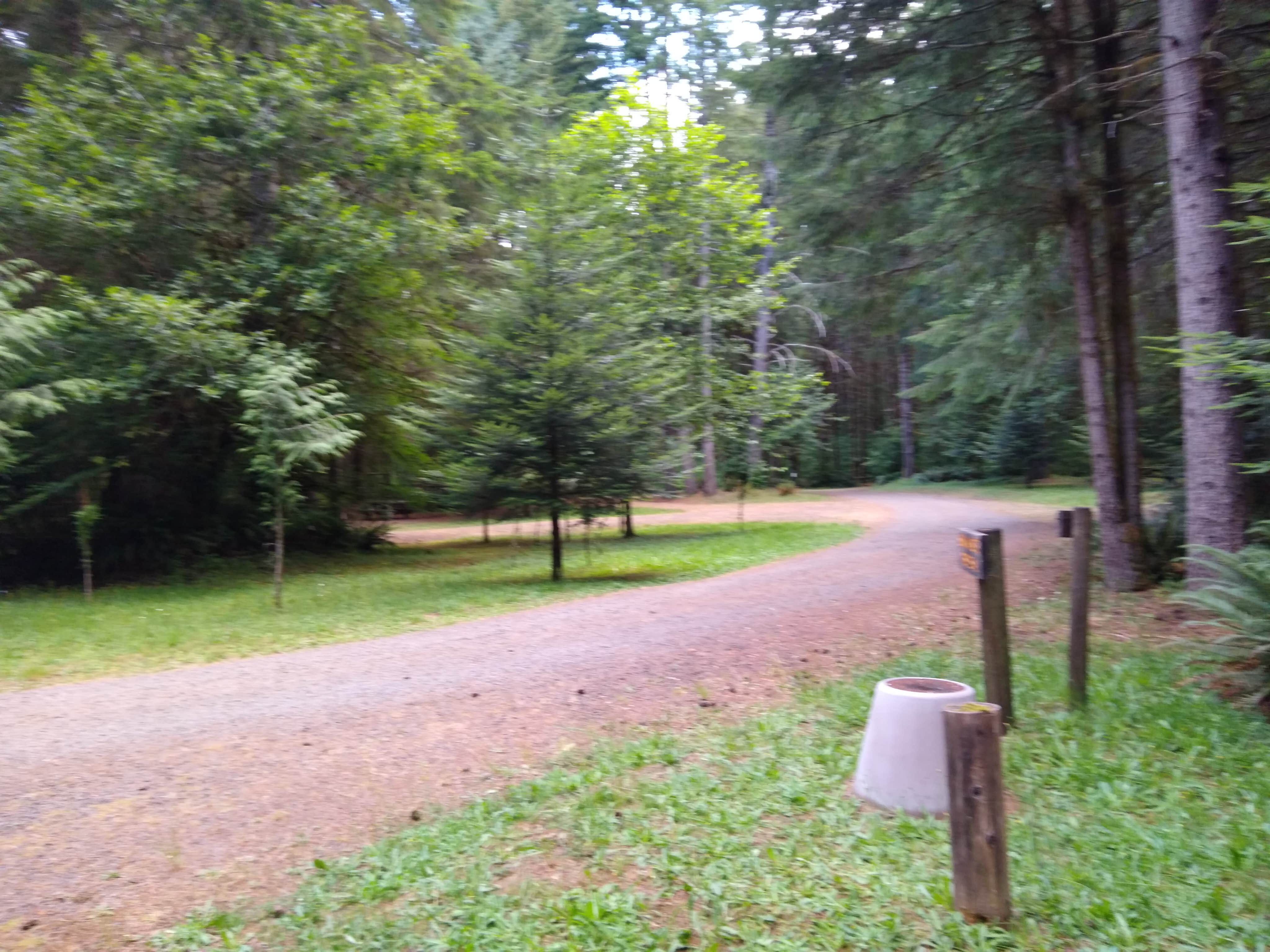 Camper submitted image from Clatsop State Forest Northrup Creek Horse Campground - 1