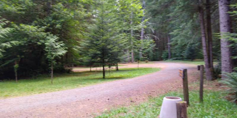 Camper submitted image from Clatsop State Forest Northrup Creek Horse Campground