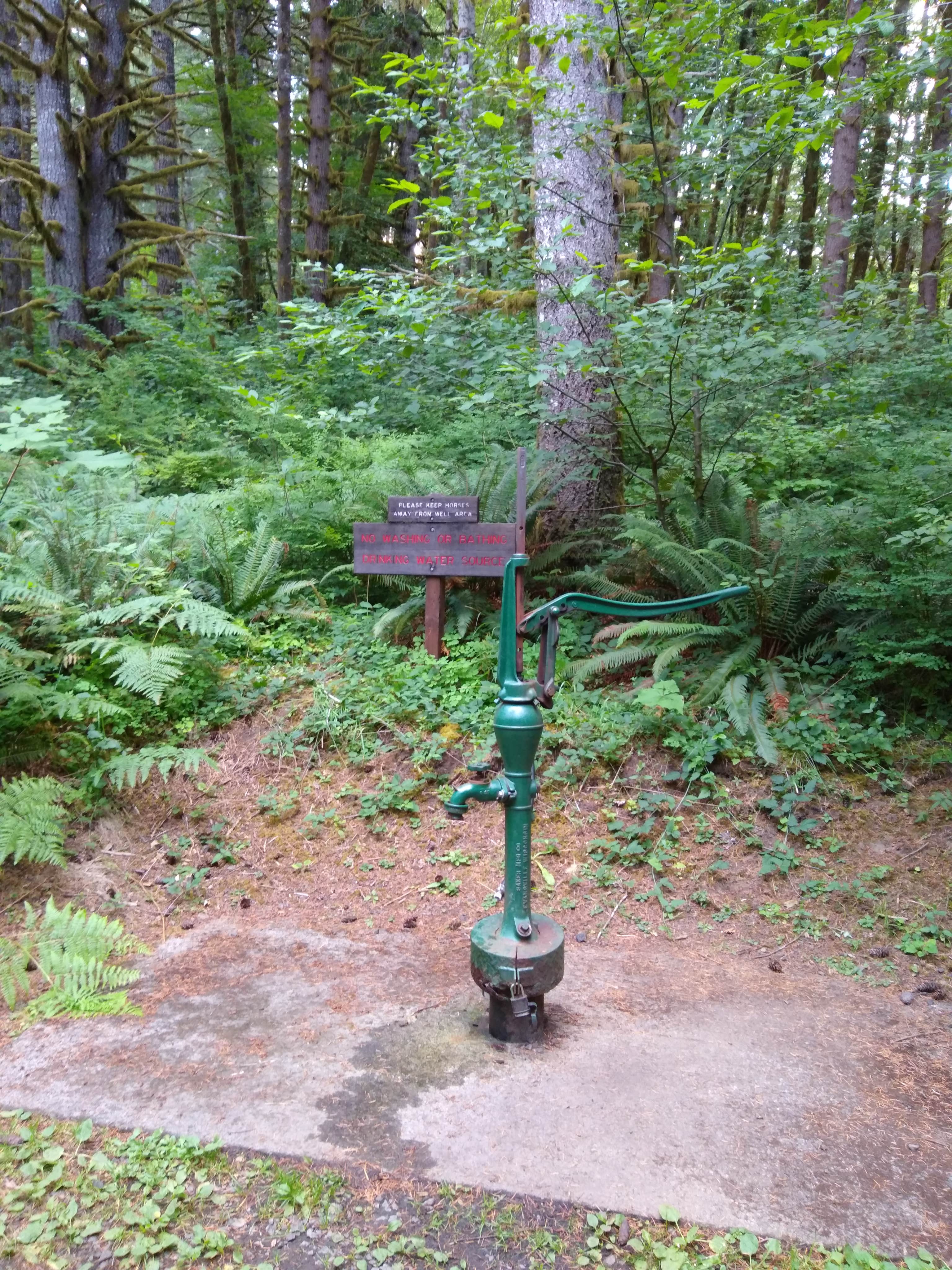 Camper-submitted photo at Clatsop State Forest Northrup Creek Horse Campground near Cathlamet, WA