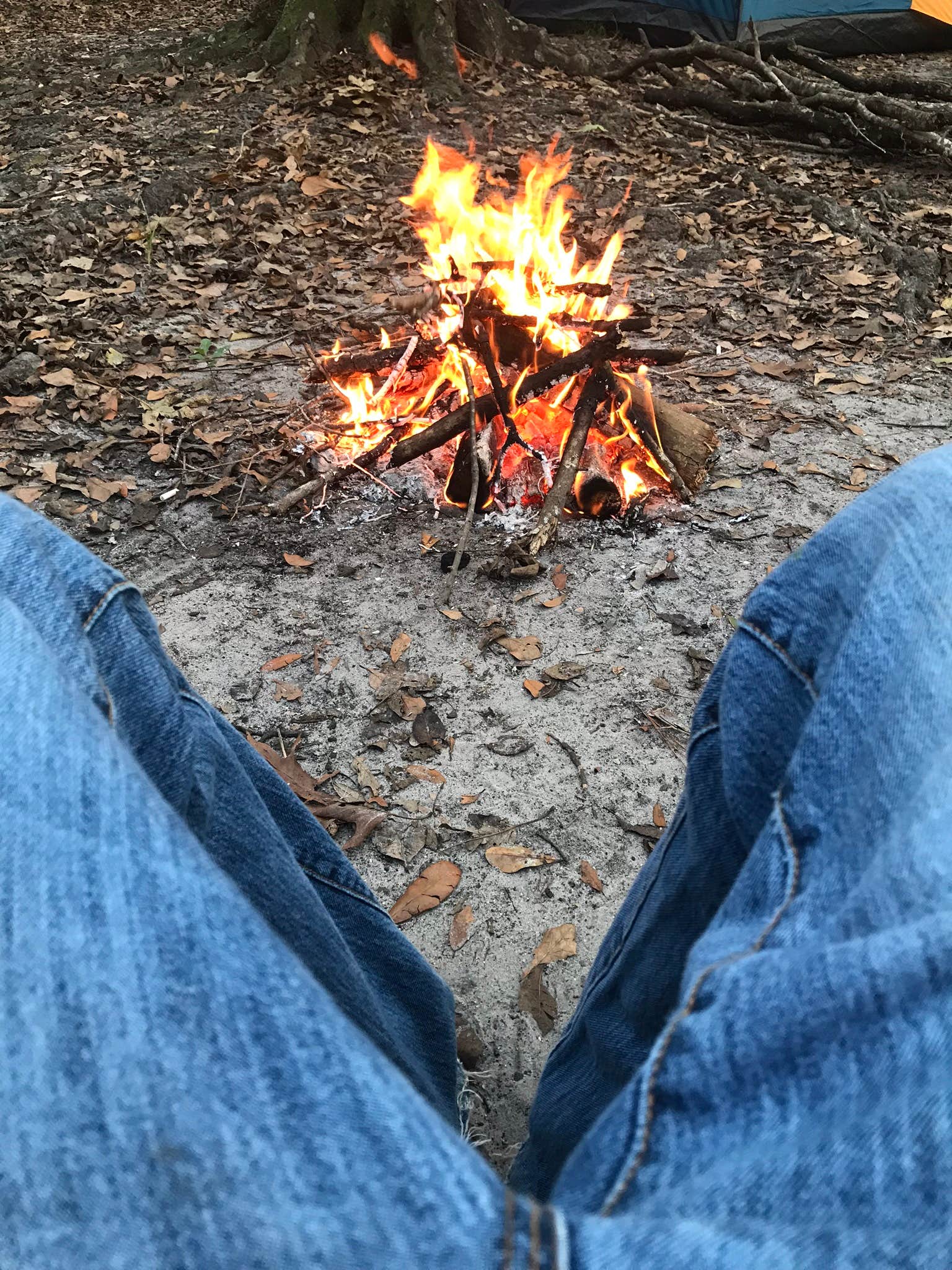 Camper-submitted photo at Tuck in the Wood Campground near Beaufort, SC