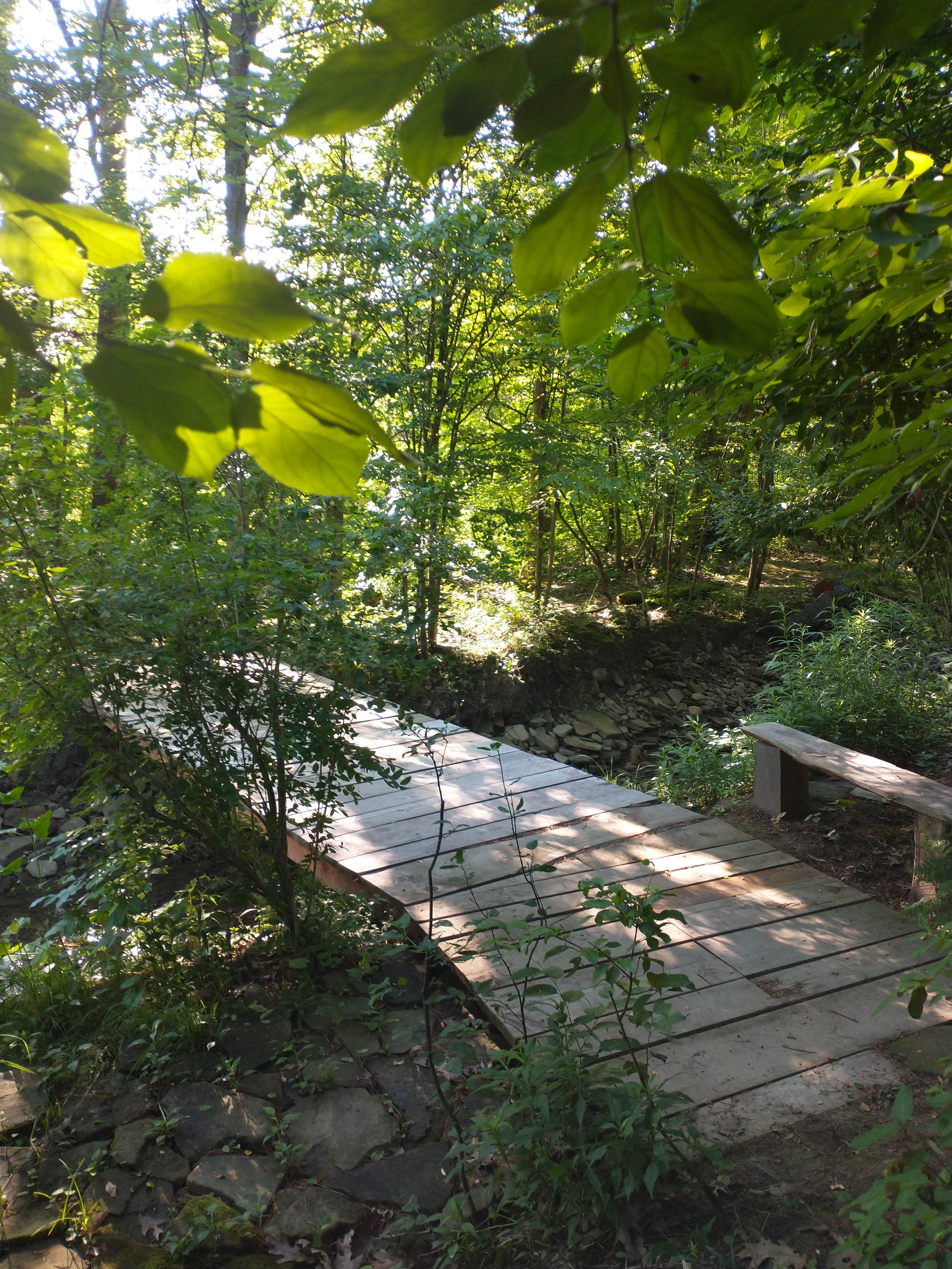 Camper submitted image from Hanging Bog Big Bass Serenity Camp - 2