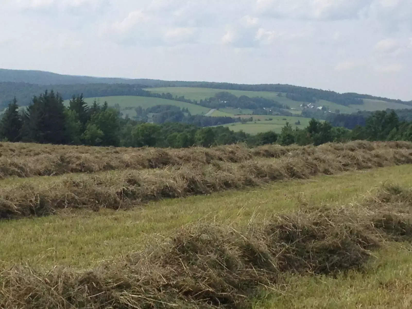 Camper-submitted photo at Off Grid Sunset View Sleeping Cabin near Cazenovia, NY