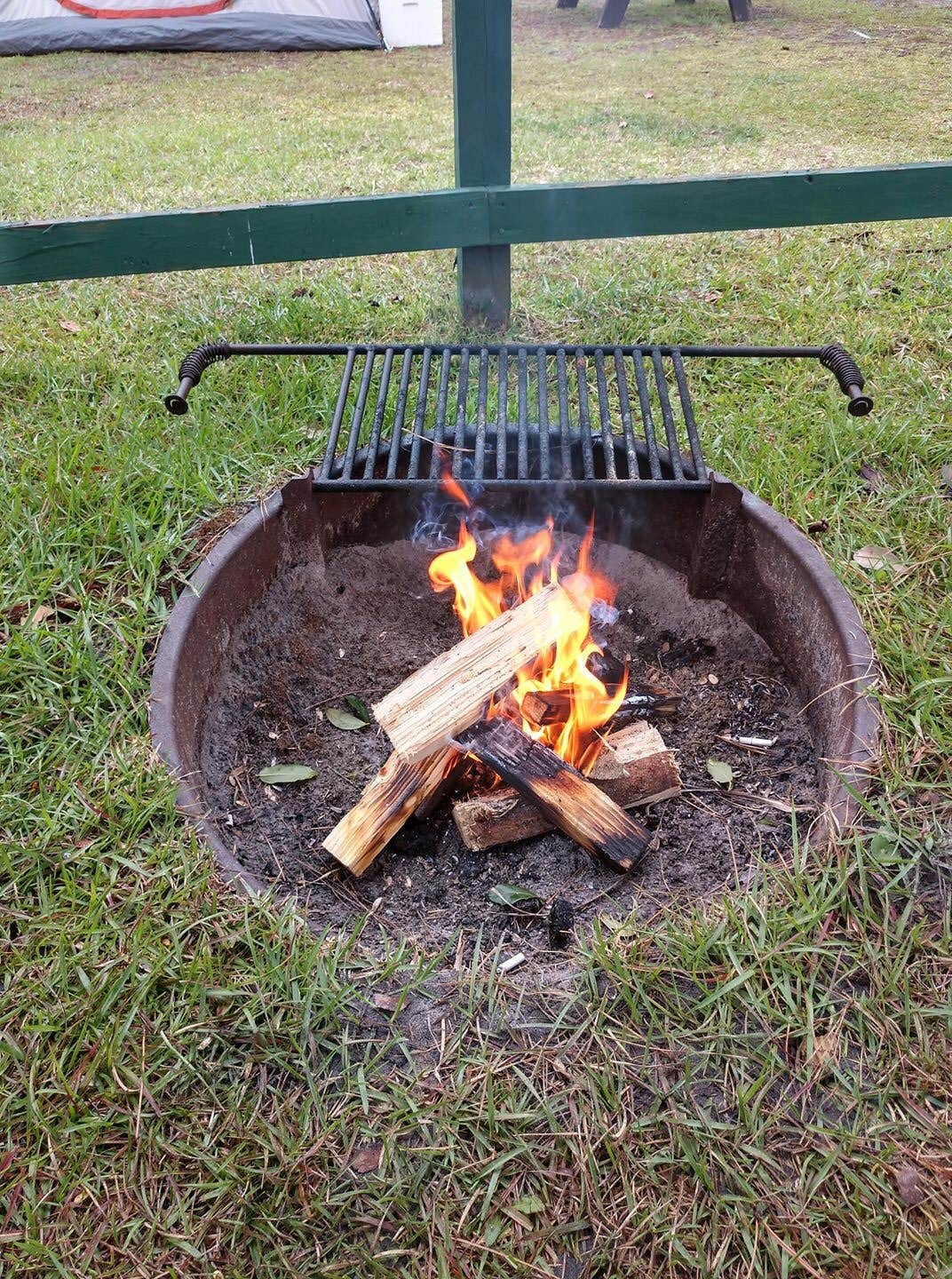 Trish H.'s photo at Jacksonville North-St. Marys KOA in Georgia