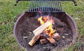 Trish H.'s photo at Jacksonville North-St. Marys KOA near Cumberland Island National Seashore