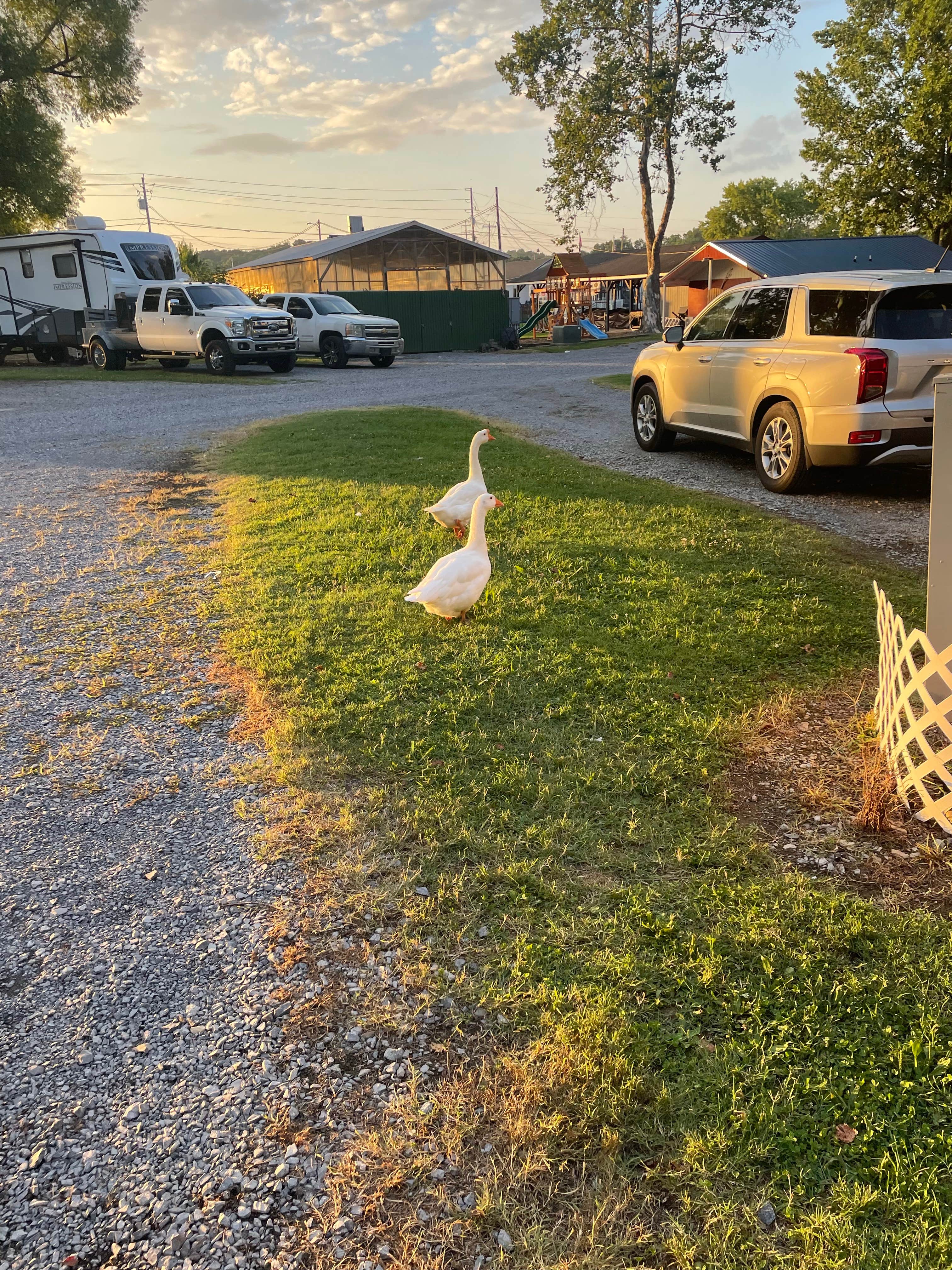 Camper-submitted photo at Tana-See Campground near Talbott, TN