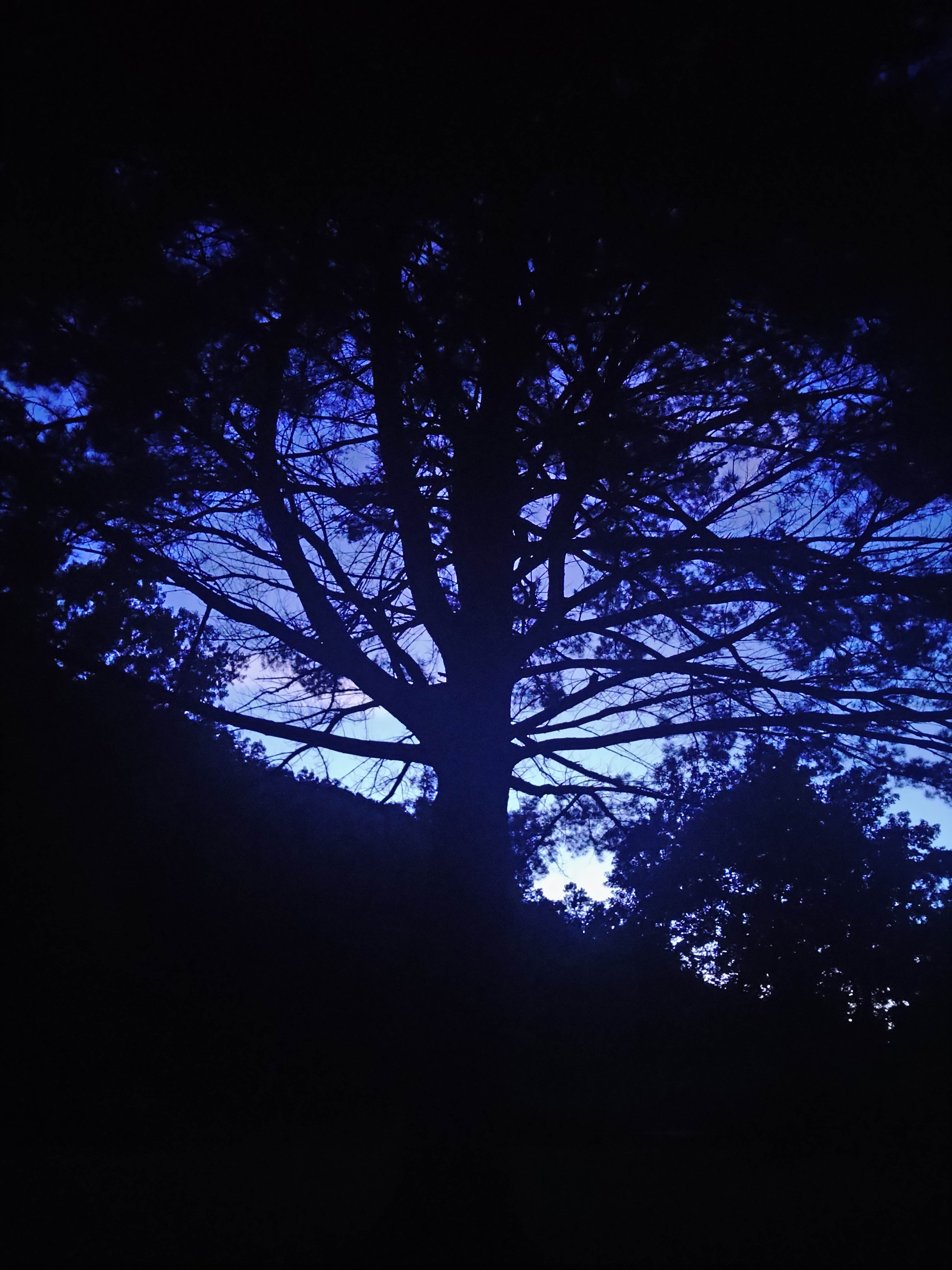 Camper-submitted photo at Little Paint Campground — Yellow River State Forest near Lansing, IA