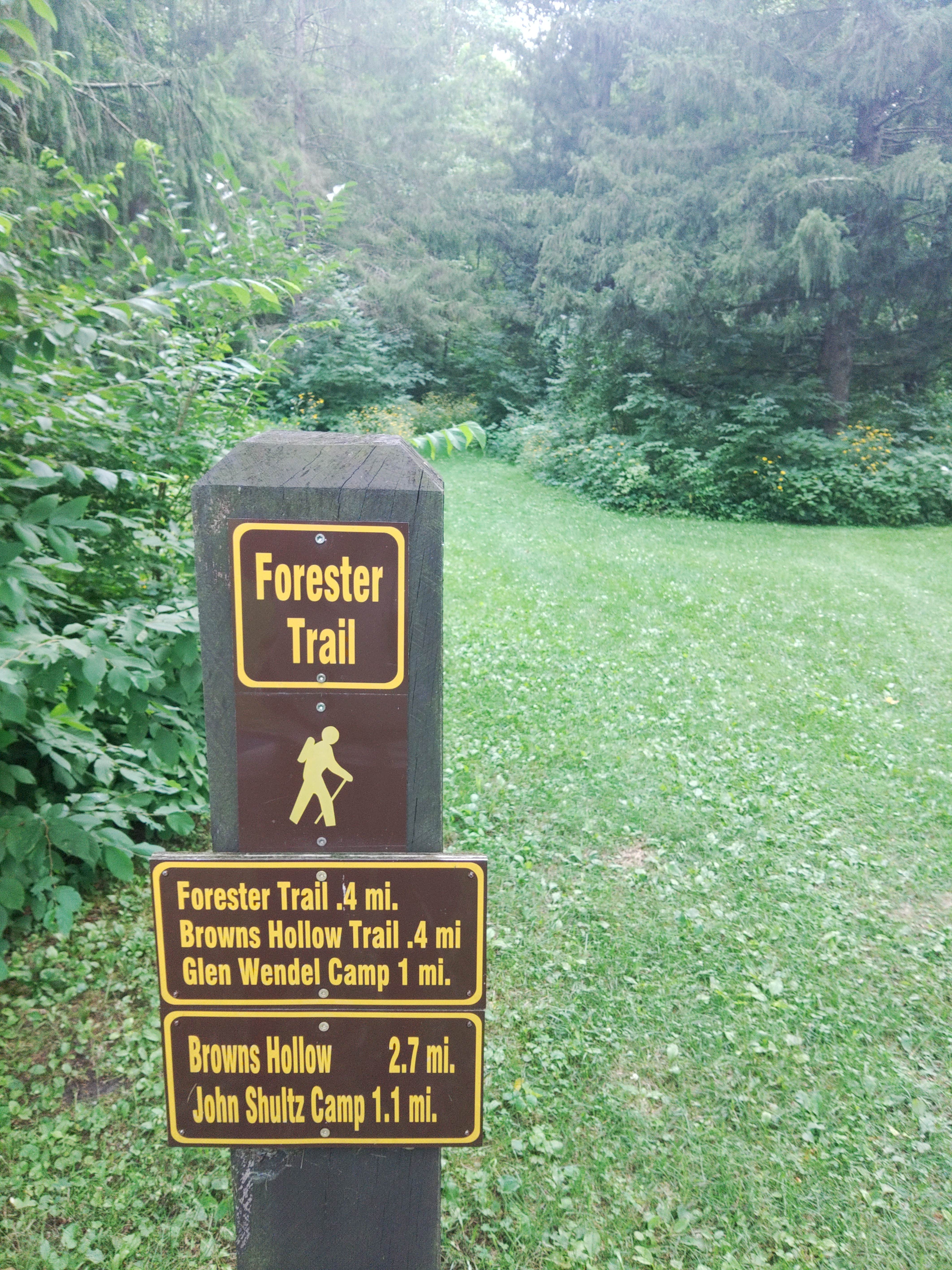 Camper-submitted photo at Camp John Schultz — Yellow River State Forest near Waterville, IA