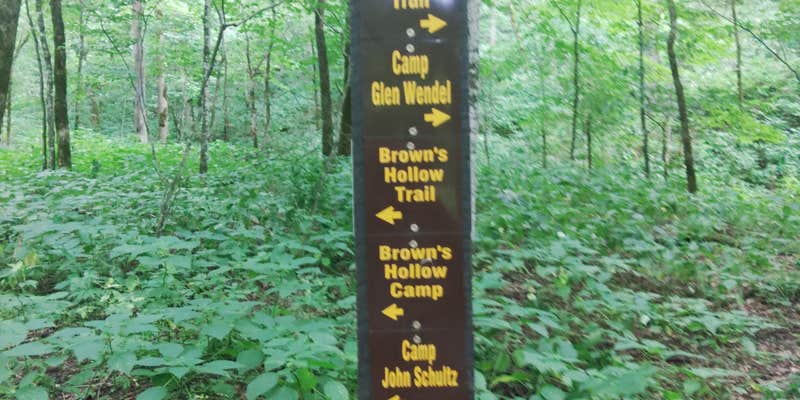 Camper submitted image from Camp John Schultz — Yellow River State Forest