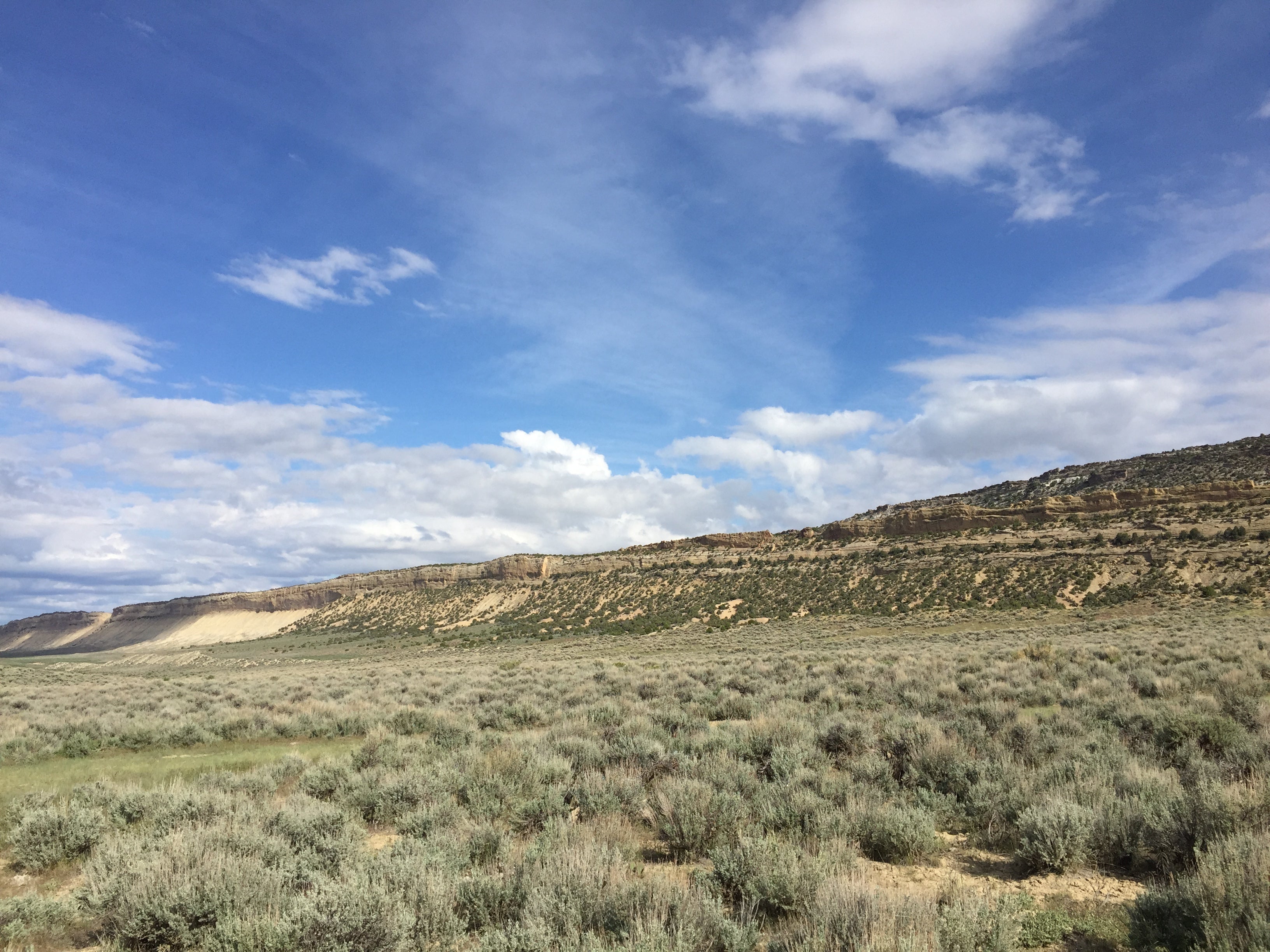 Camper submitted image from Northeast Utah BLM Land - 2