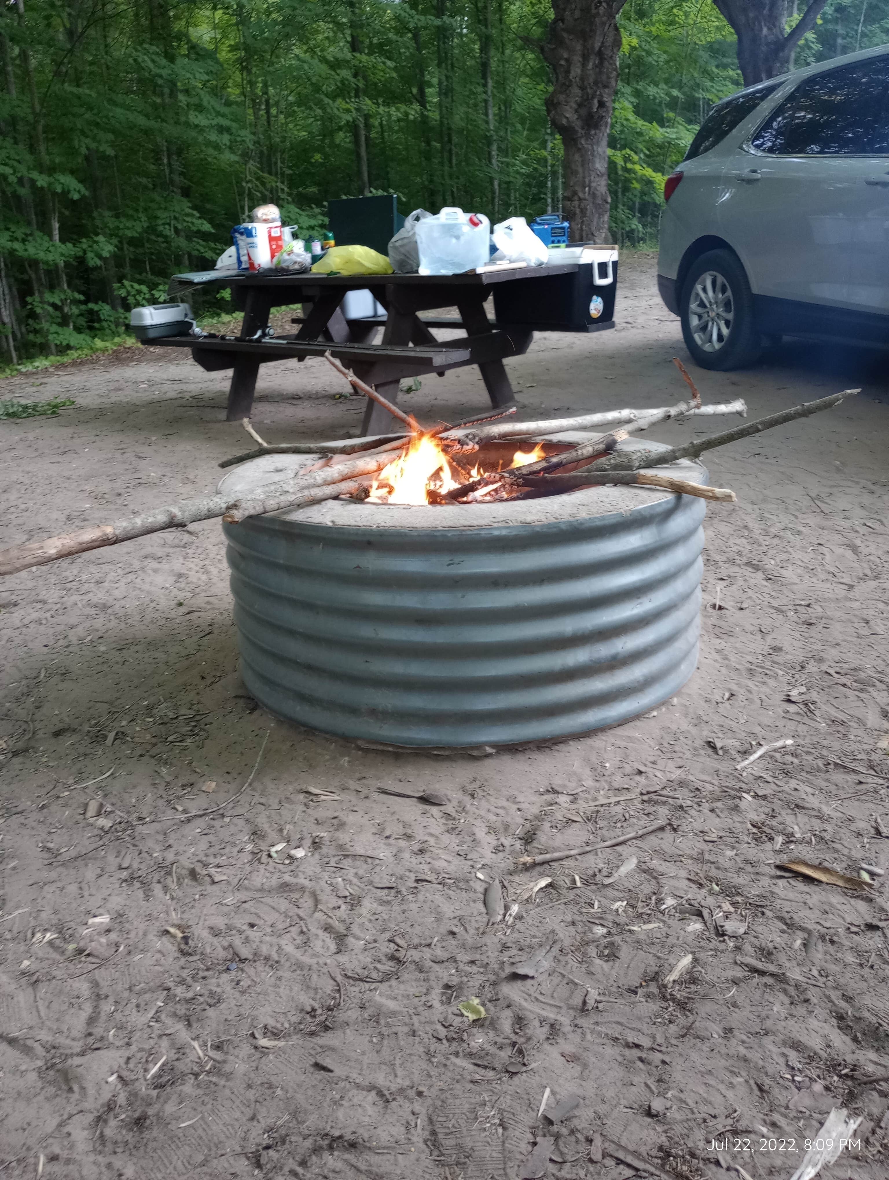 Camping near White Pine Backcountry Camp — Sleeping Bear Dunes National Lakeshore: Garey Lake State Forest Campground, Lake Ann, Michigan