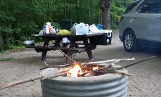 Camping near Rocky’s Woods : Garey Lake State Forest Campground, Lake Ann, Michigan