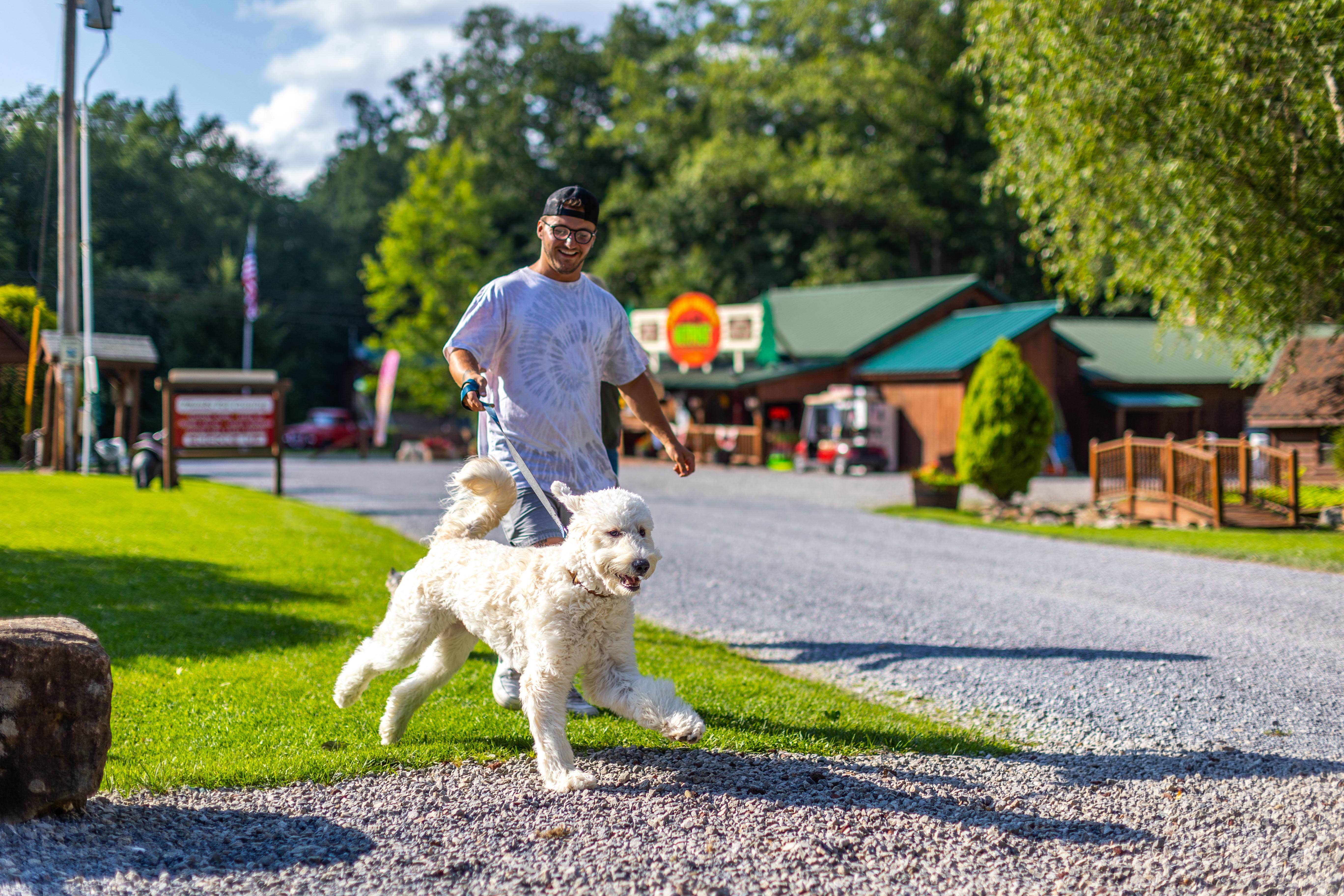 Horizon M.'s photo of camping with pets at Rvino - Campers Paradise near Clearfield, PA
