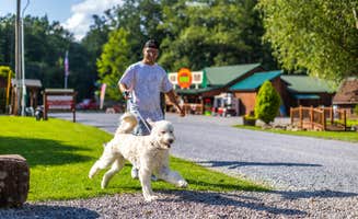 Horizon M.'s photo of camping with pets at Rvino - Campers Paradise near Rouseville, PA