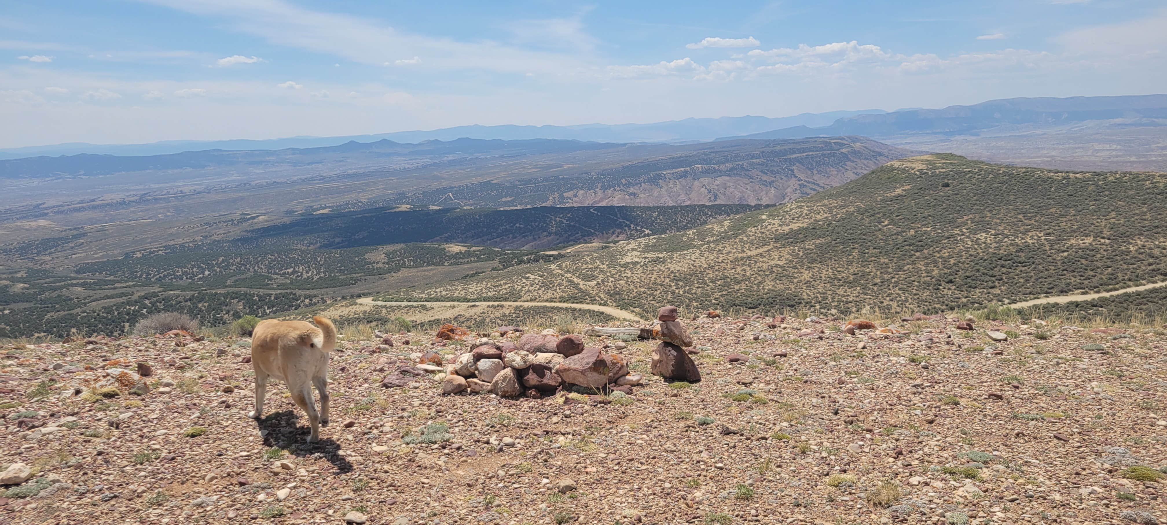 Camper submitted image from Sand Wash Basin - 4