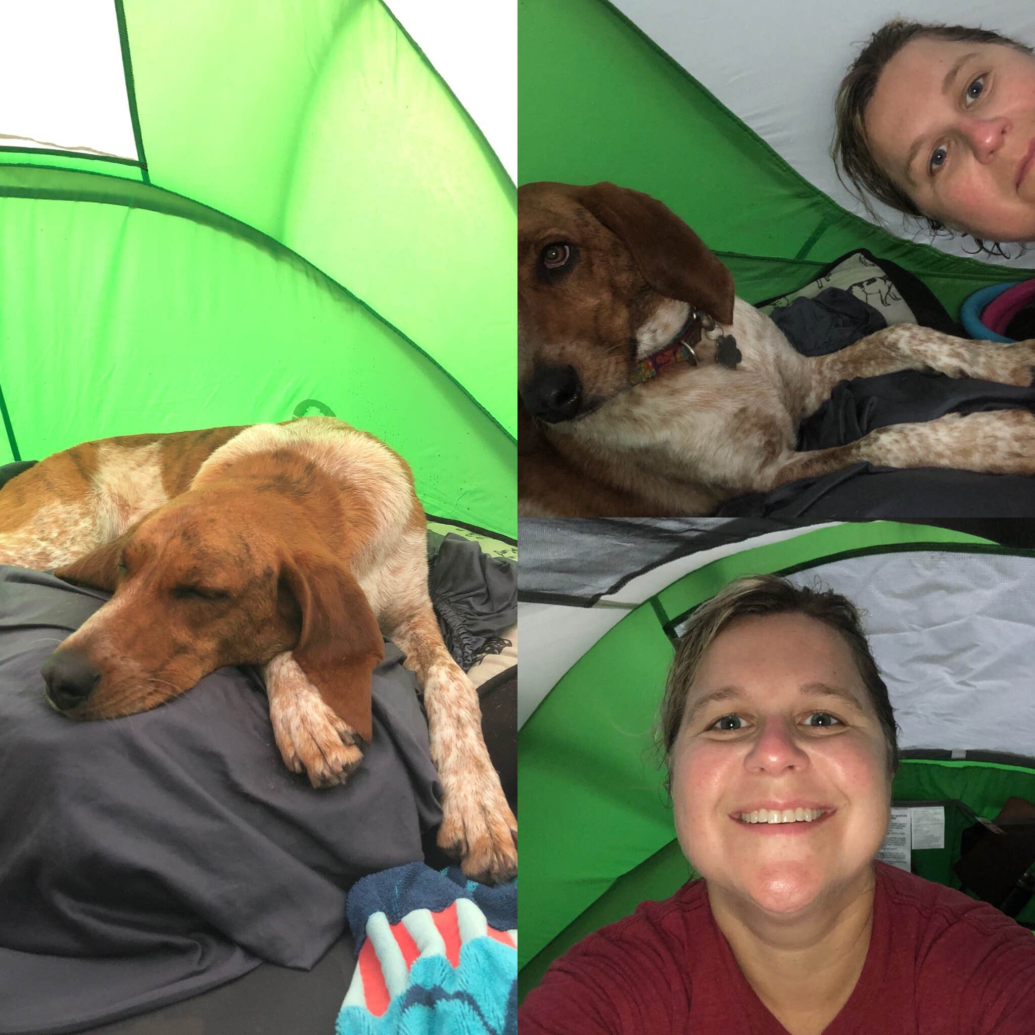 Sally T.'s photo of camping with pets at Northwest River Park & Campground near Moyock, NC