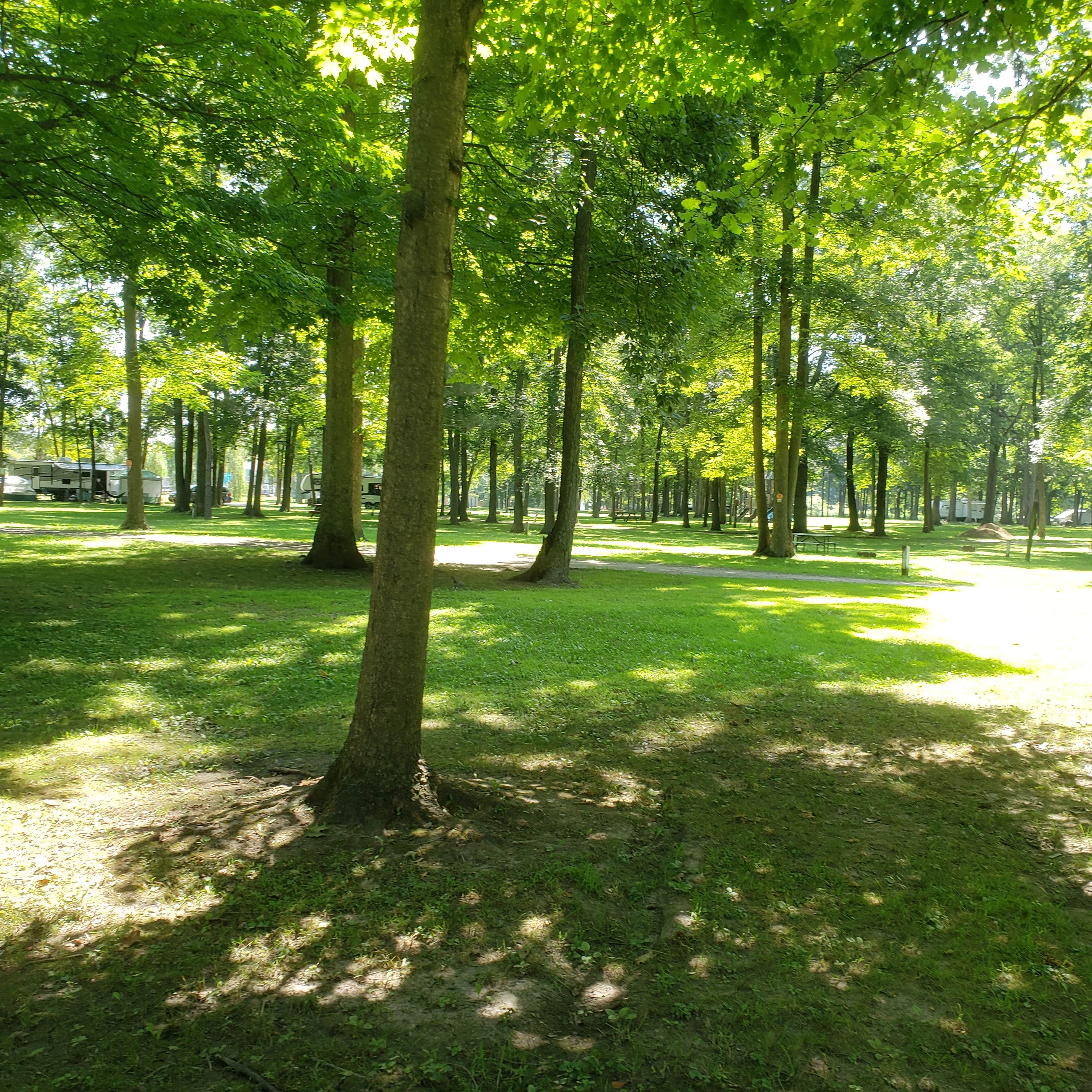 Camper-submitted photo at Heartland Woods Family Resort near New Hudson, MI