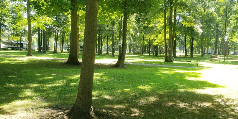 Camper submitted image from Heartland Woods Family Resort