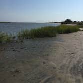 Review photo of Hunting Island State Park Campground by Frances F., July 21, 2018