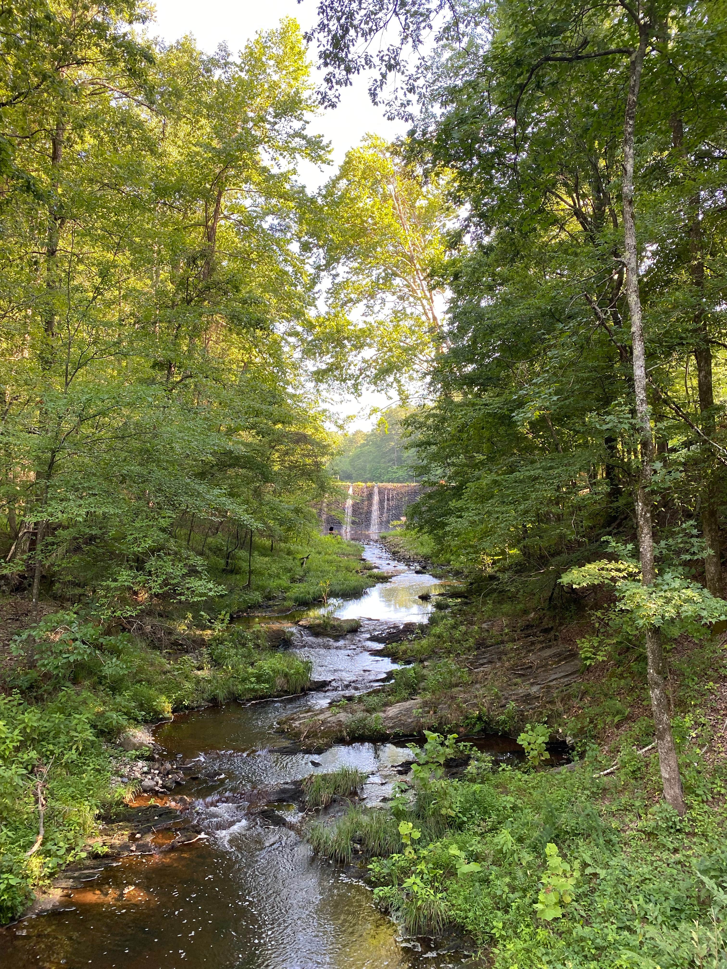 Camping near Denby Point: Camp Clearfork, Ouachita Lake, Arkansas