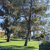 Review photo of Sky Valley RV Resort by Tracy K., July 27, 2022