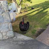 Review photo of Sky Valley RV Resort by Tracy K., July 27, 2022