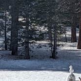 Review photo of Sky Valley RV Resort by Tracy K., July 27, 2022