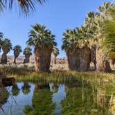 Review photo of Sky Valley RV Resort by Tracy K., July 27, 2022