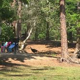 Review photo of Disney’s Fort Wilderness Resort & Campground by Frances F., July 21, 2018
