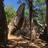 Review photo of Robbers Cave State Park — Robbers Cave State Resort Park by David T., July 27, 2022