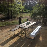 Review photo of Disney’s Fort Wilderness Resort & Campground by Frances F., July 21, 2018