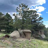 Review photo of Mount Herman Road Dispersed Camping by Heidi￼ J., July 27, 2022