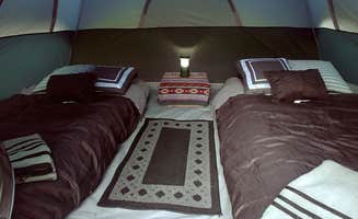 Gee C.'s photo of glamping accommodations at Camp Uptown Backwoods near Franklin, NC