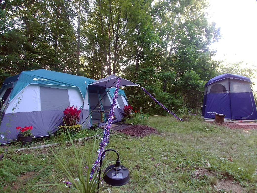 Camp Uptown Backwoods